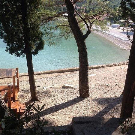 Apartment Biserka Cavtat Room photo