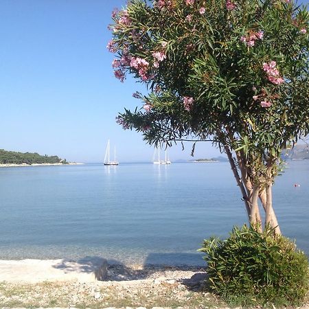 Apartment Biserka Cavtat Room photo