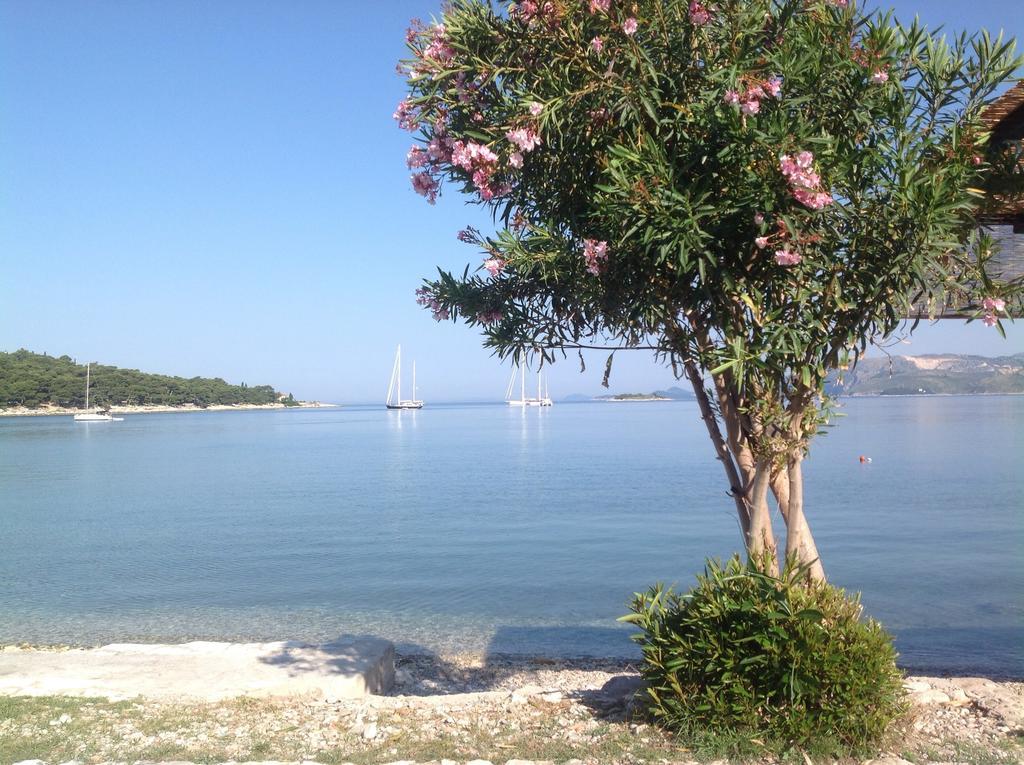 Apartment Biserka Cavtat Room photo